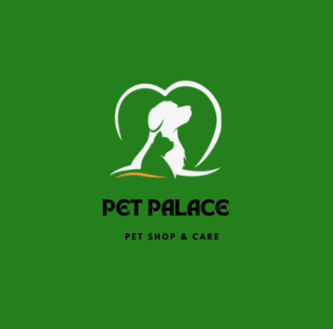 Unleash the Magic: 10 Surprising Reasons to Choose Pet Palace Shop for Your Furry Friends! - Pet palace shop