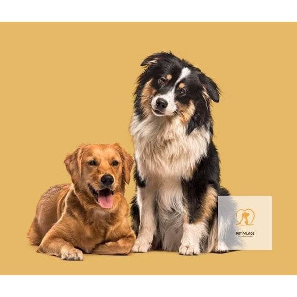 Organic Dog Food: The Ultimate List of Top Brands - Pet palace shop