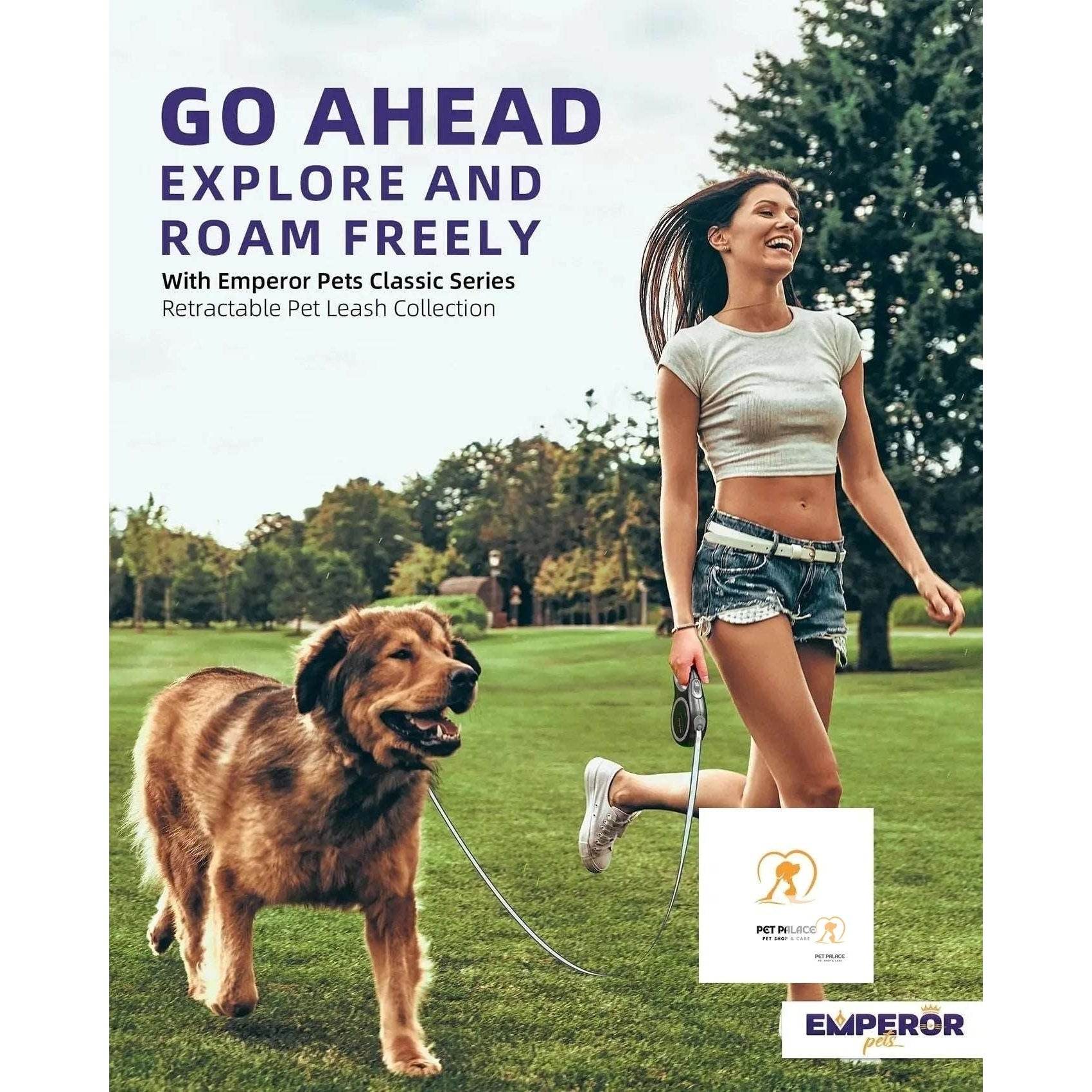 The Ins and Outs of Extra Long Retractable Dog Leads - Pet palace shop