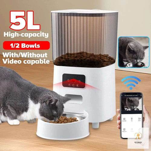 Detailed Guide to the Top Rated Automatic Cat Feeders - Pet palace shop