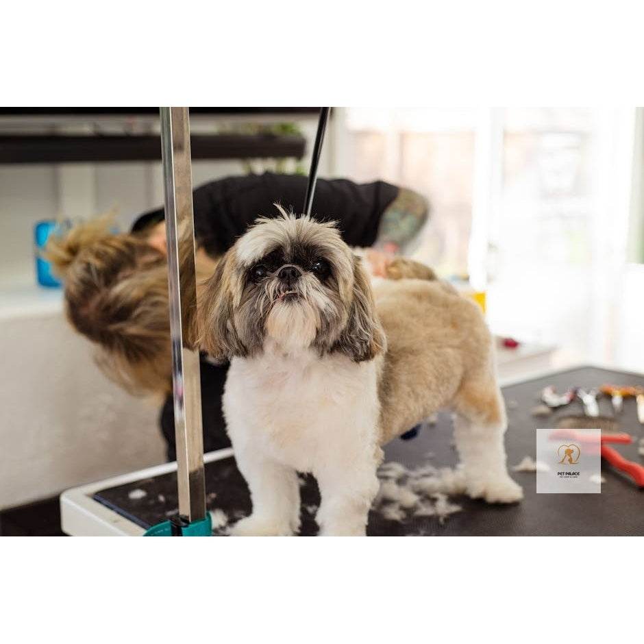Clip It Right: Best Dog Grooming Clippers for Every Budget - Pet palace shop