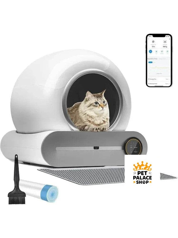 Cleaning & Accessories