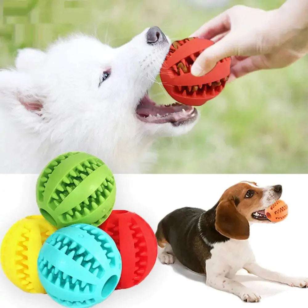 Dog chew toy  Pet palace shop