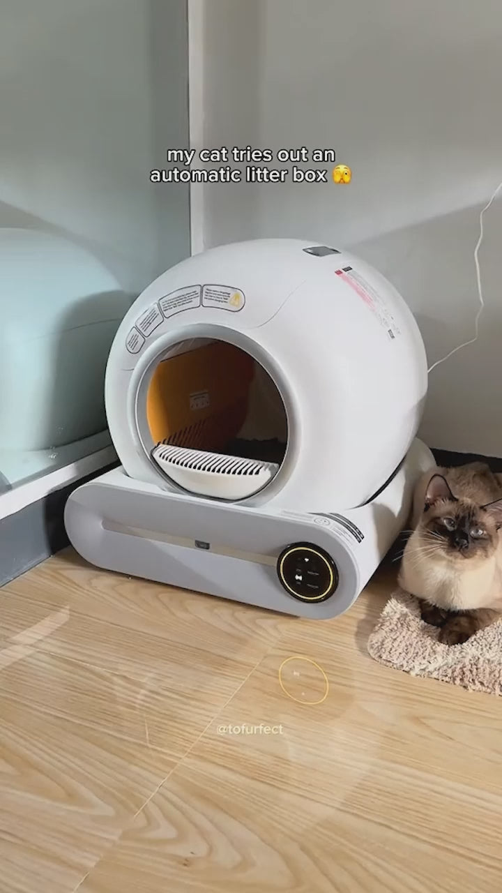 self cleaning litter box